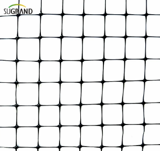 rede de p&aacute;ssaros