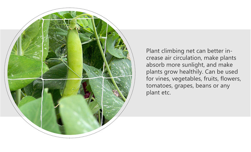 rede de suporte de plantas 4