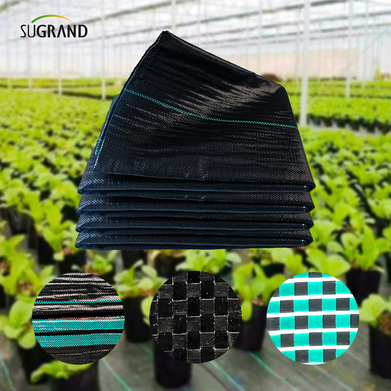 105GSM Black Ground Cober