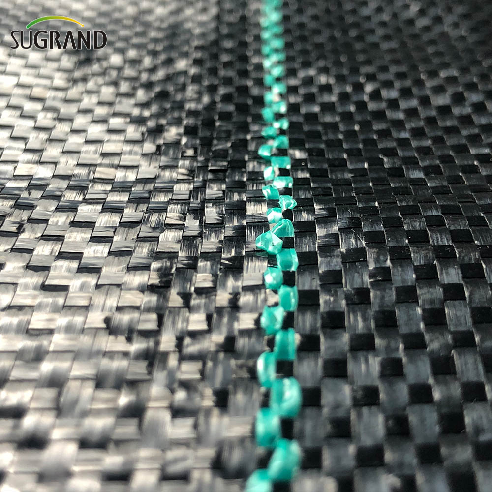 Pp verde e preto cobertura do solo Membrana Matbrane Weeds Mat