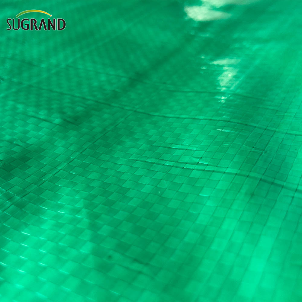 Tarpela verde pesada Tarpes protetores de proteção 2,5x3.6m