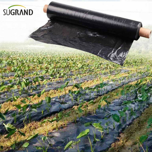 Biotelo Biodegradable Mulch Film Agriplast Mulching