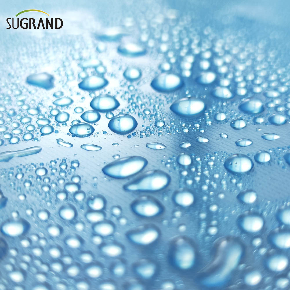  6 mil filmes de estufa de polietileno Blue Greenhouse plástico filme 