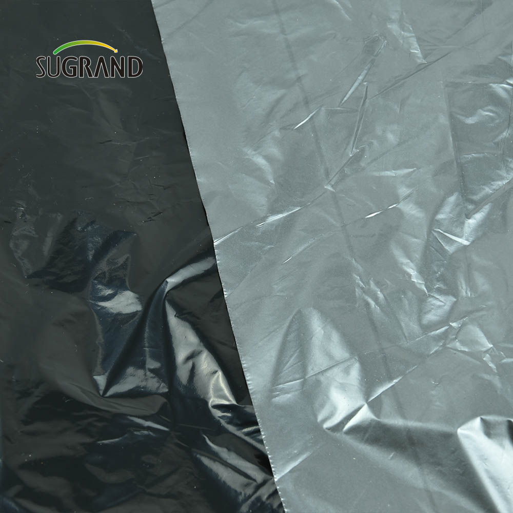Preço barato de fábrica plástico preto Mulch Biodegatorable UV Mulch Film for Agricultural