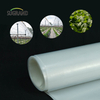 Filme de estufa 190mic de estufa de estufa transparente de fábrica para mudas de jardim