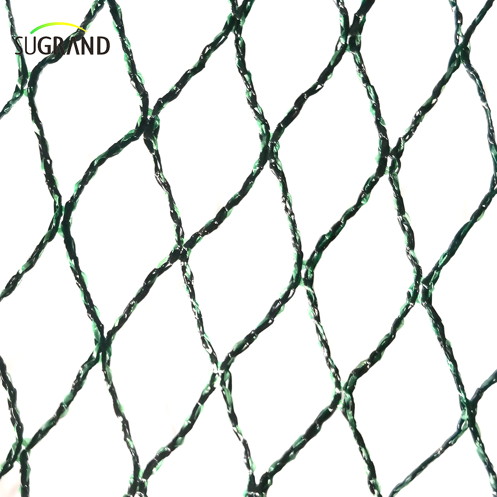 República Tcheca100% HDPE+UV 25GSM 20*20mm Malha 5*6/12m Agricultura verde preta Catchar Bird Bird Netting