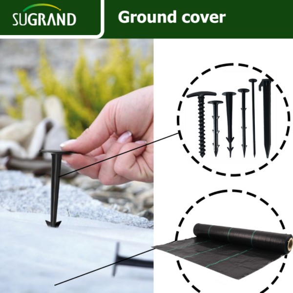 Ferramenta fantástica para combater ervas daninhas