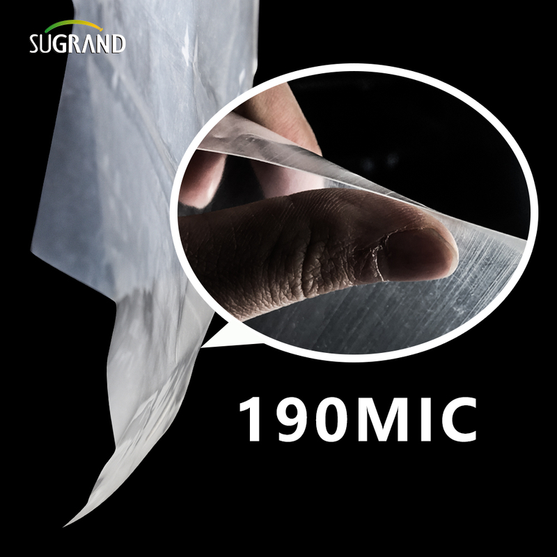 UV 190 Microns Greenhouse Polyetileno Film 6 Mil Plástico Roll Factory