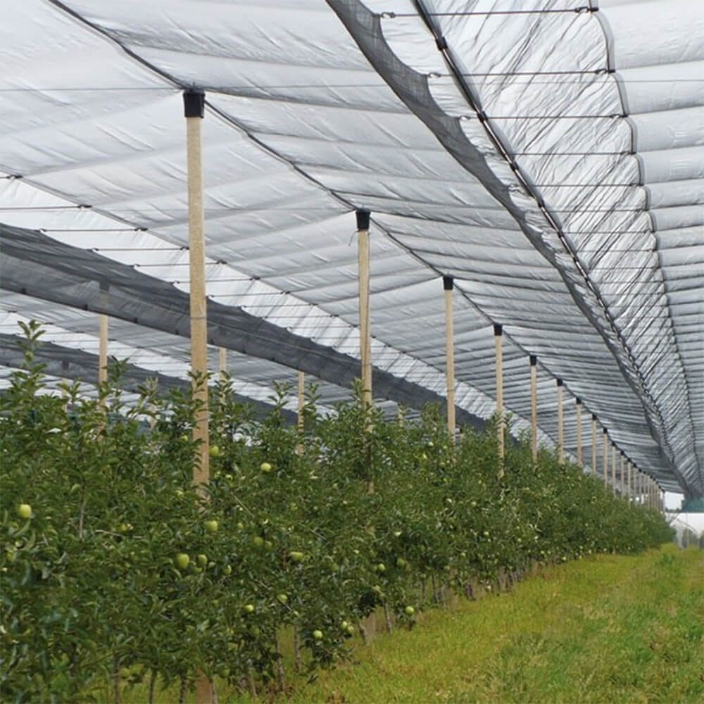 Rede de malha de granizo premium para vinhedos