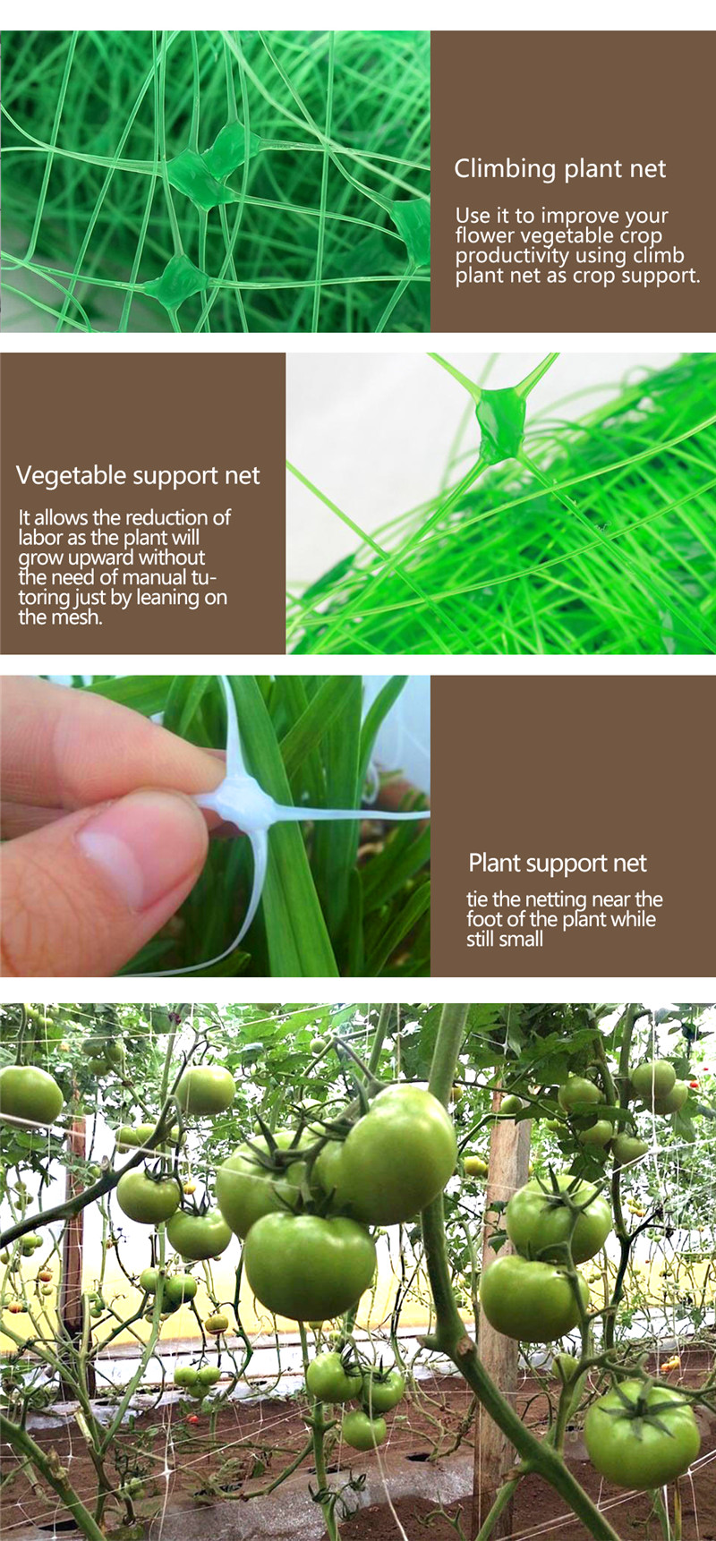rede de suporte de plantas 7