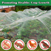 Rede anti inseto HDPE 40 50 Mesh Transparent White