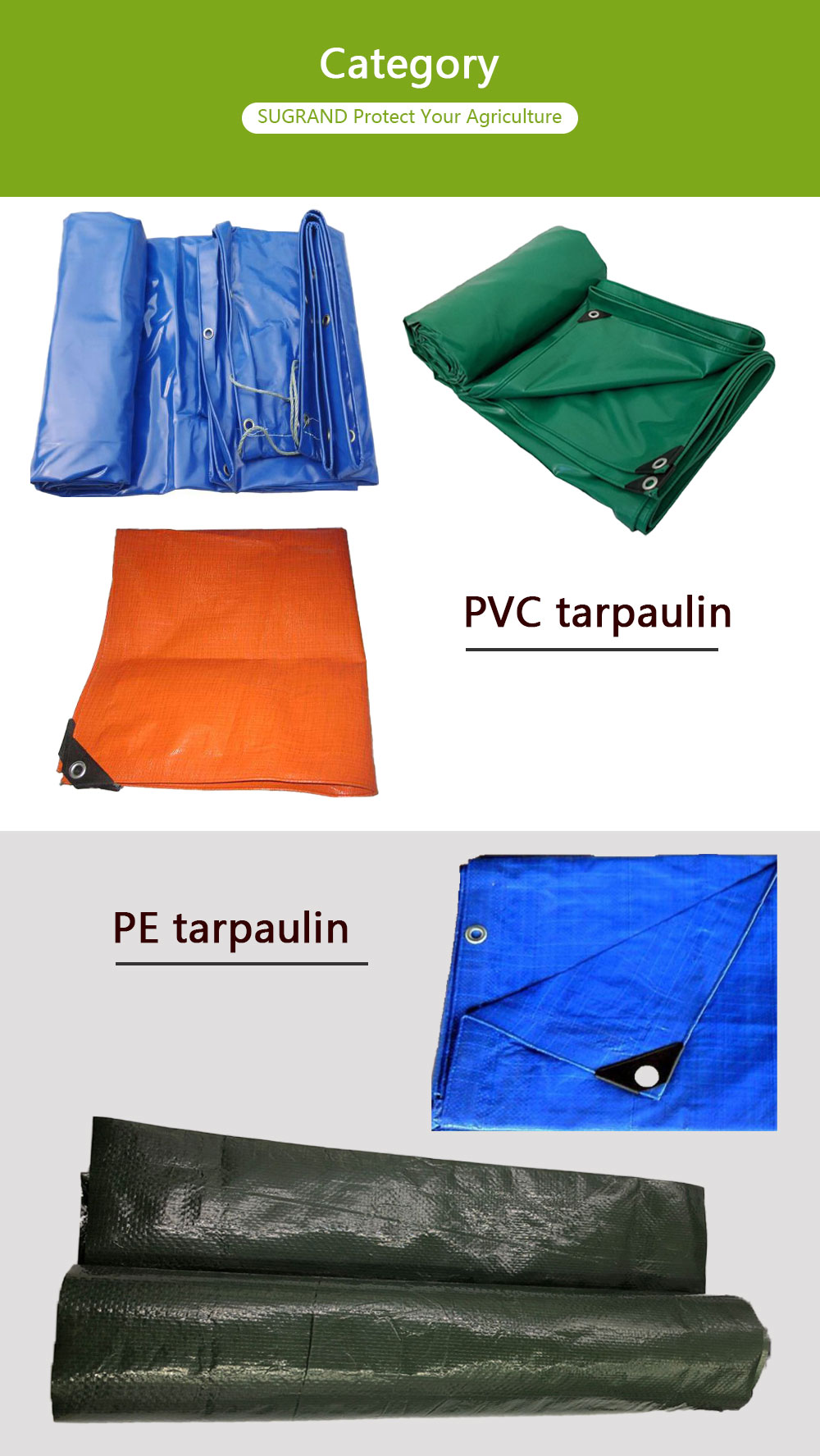Tarpaulina2 