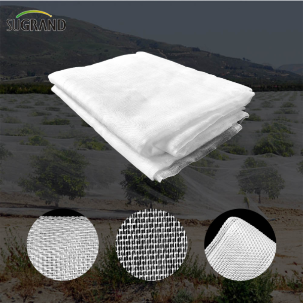 Aplicação de redes anti-insetos na indústria florestal e frutícola