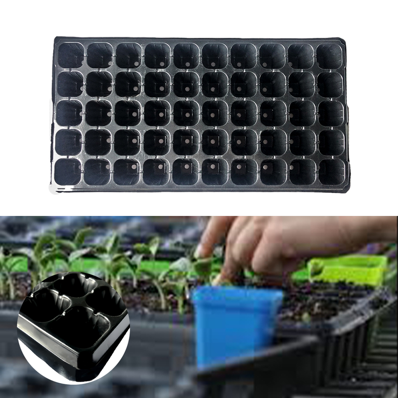 Black Garden Promedling Starter Bandejas Bandeja de mudas 