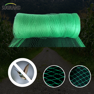 Green Bird Net 4x30m Bird Net para fornecedores do mercado tailandês