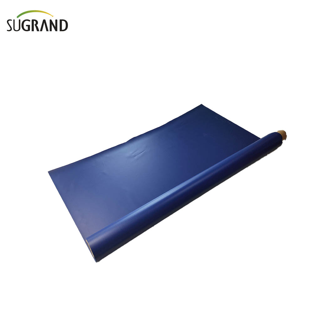 Azul 12x24 lonarina transparente Tarpaulina pesada 
