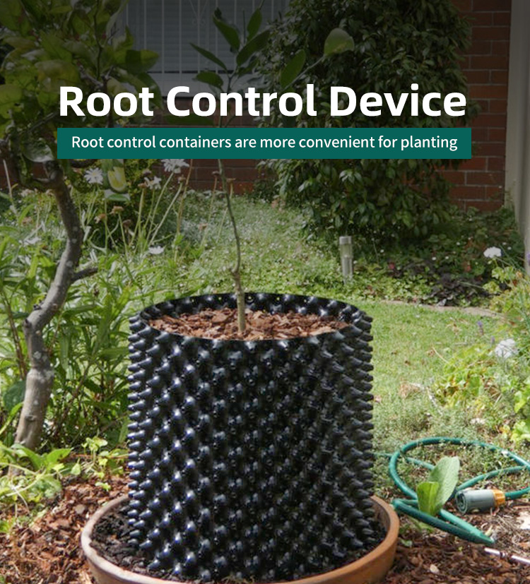 Contêiner de controle de raiz