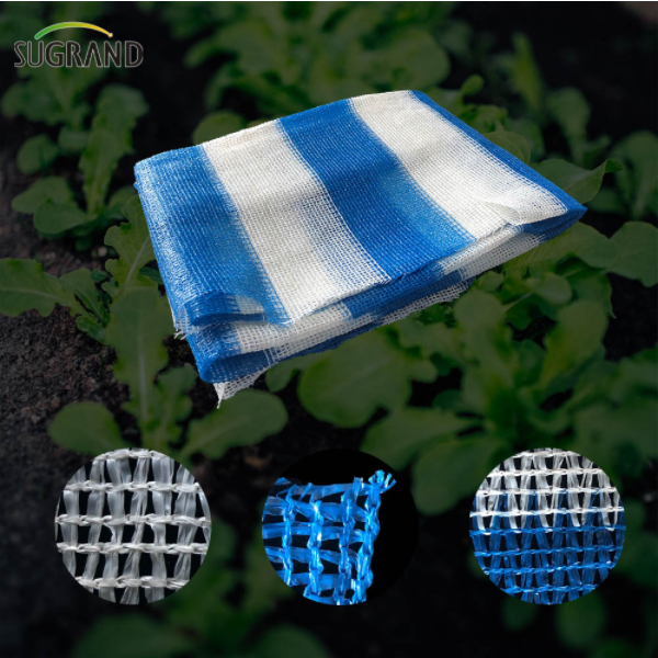 Conhecimento de rede de guarda-sol