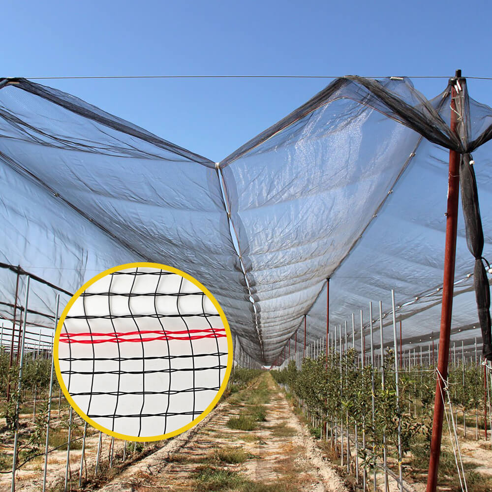 Rede de malha de granizo premium para vinhedos