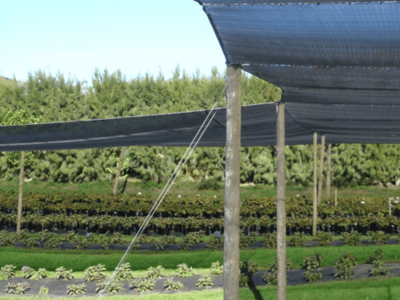 rede verde para jardim