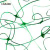 8GSM-10GSM Green HDPE Plant Support Net