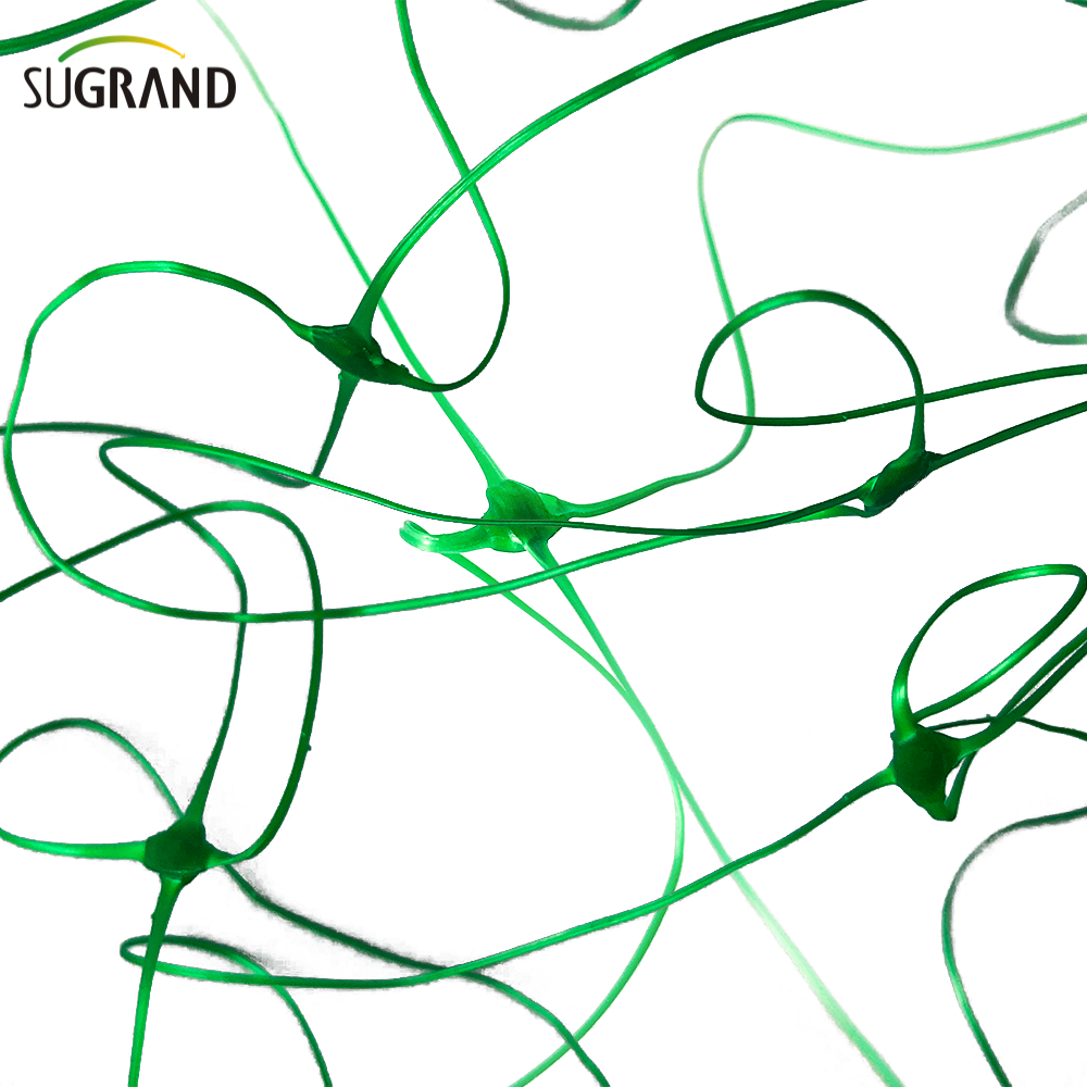 8GSM-10GSM Green HDPE Plant Support Net