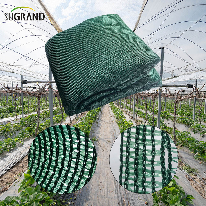 Sun Shade Net Factory Outlet HDPE com UV resistente à Sun Sun Net
