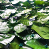 Folhas artificiais artificiais da folha de palmeira para jardim