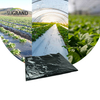 Preço barato de fábrica plástico preto Mulch Biodegatorable UV Mulch Film for Agricultural