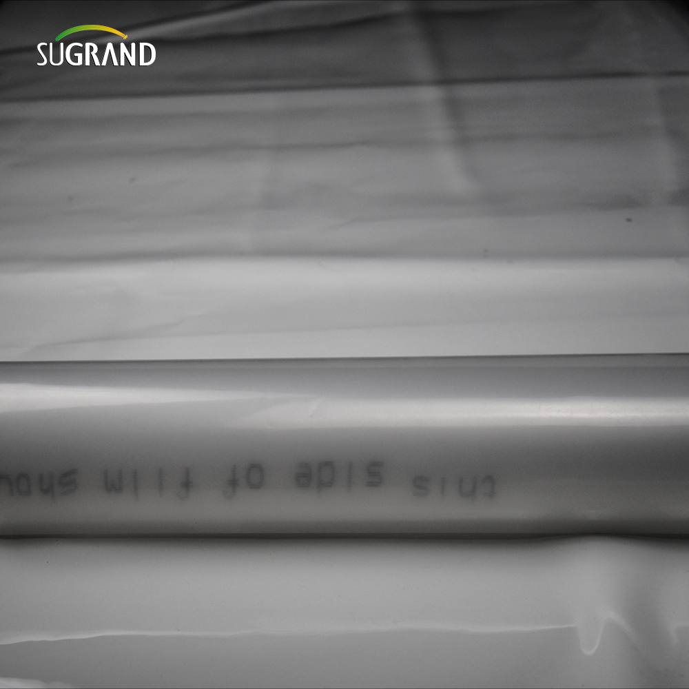 UV 190 Microns Greenhouse Polyetileno Film 6 Mil Plástico Roll Factory