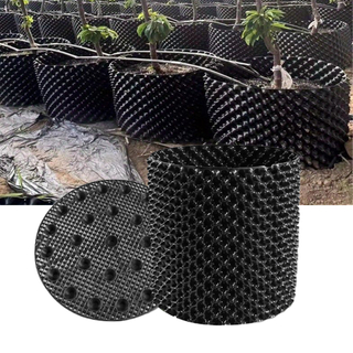 Plant Raiz Controlling Container