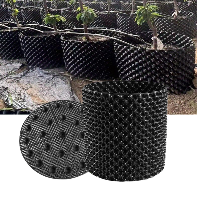 Plant Raiz Controlling Container