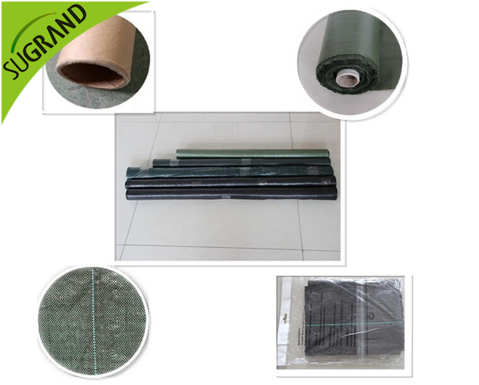 As cinco vantagens de usar ervas daninhas no pomar