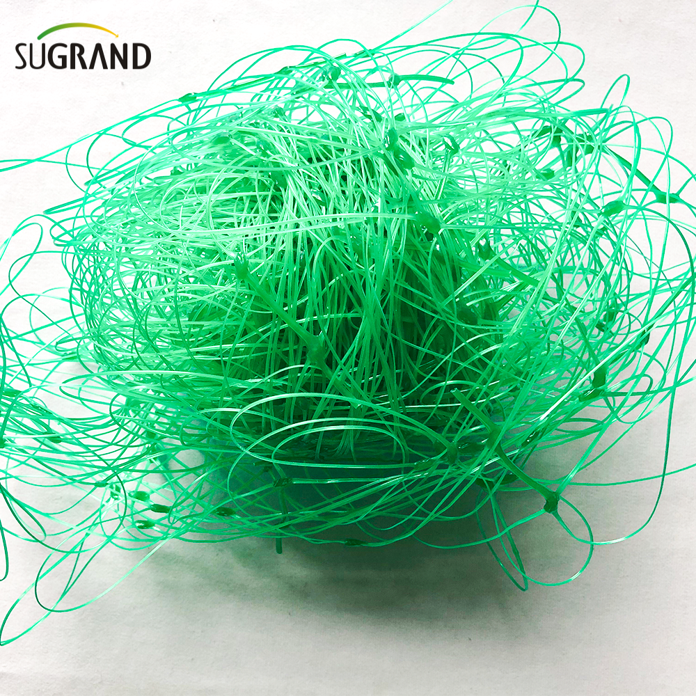 8GSM-10GSM Green HDPE Plant Support Net