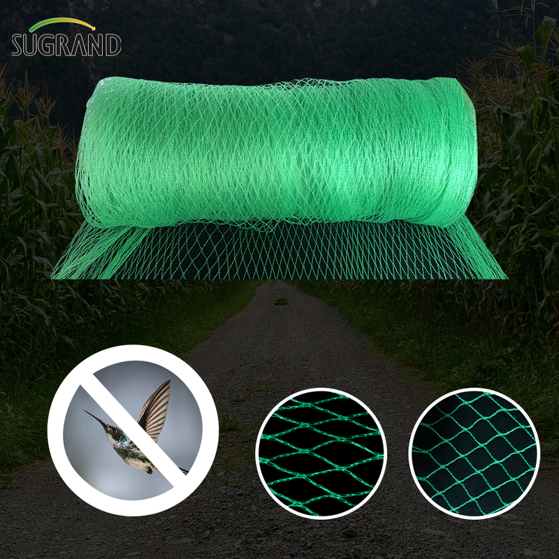 Mercado argentino Green Bird Protection Net Nylon Mist Bird Nets