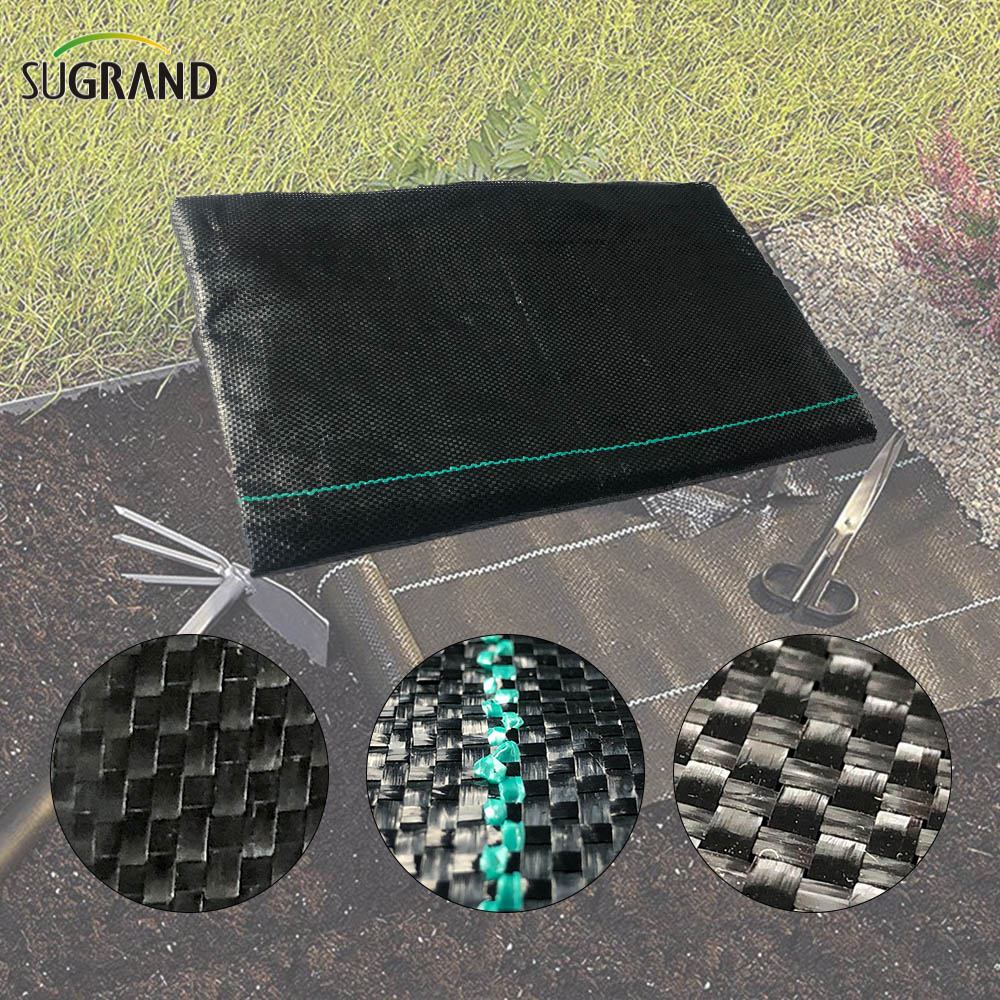 Pp verde e preto cobertura do solo Membrana Matbrane Weeds Mat