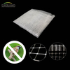 White 8*8mm Anti-Bird Net para Frutas de Frutas Fornecedores de Rede de Aves