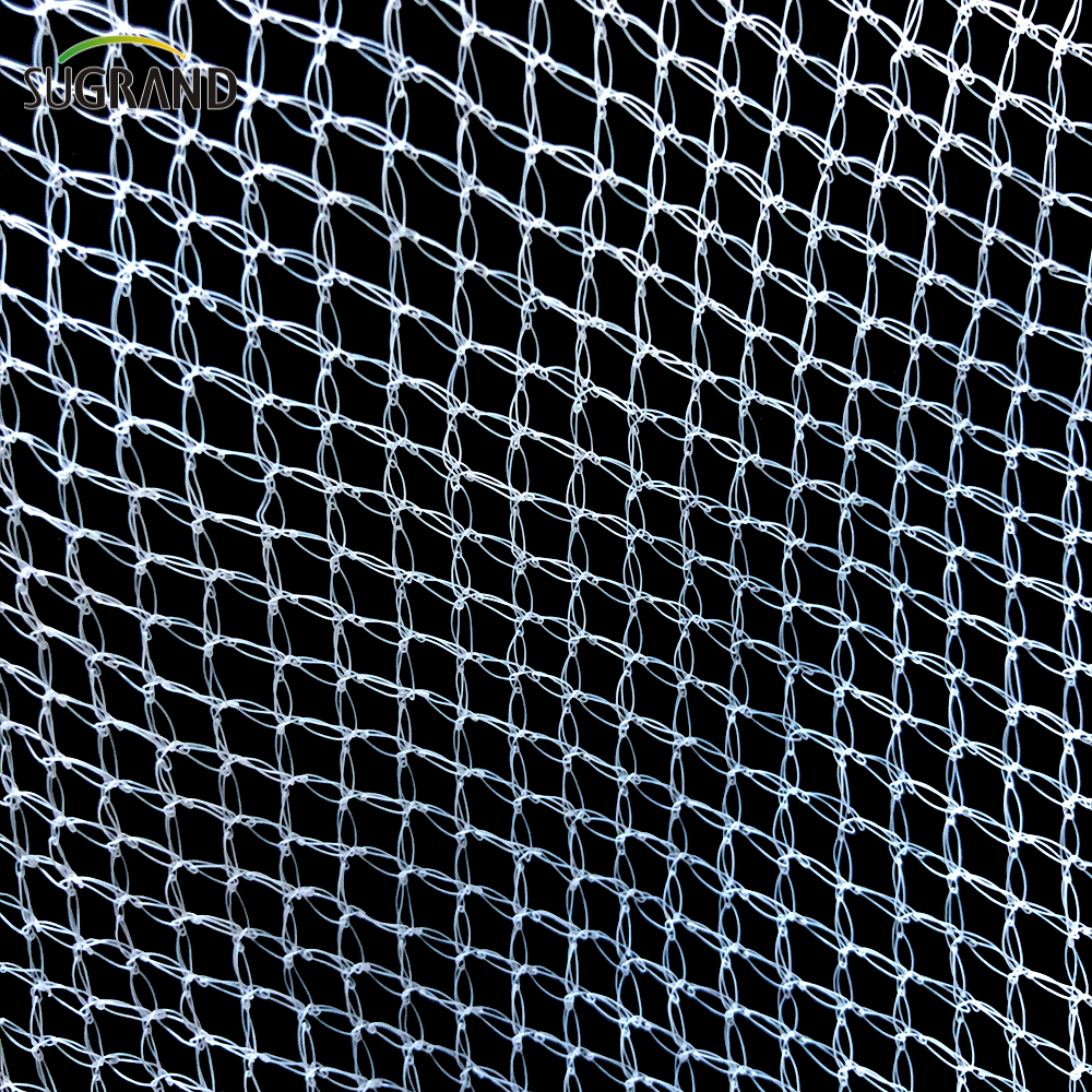 100% HDPE White Anti-Bird Net Nylon Bird Pird